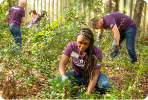 a group of Ally employees gardening